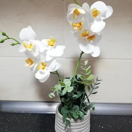 Voyagehome 2 شقة تيميشورا