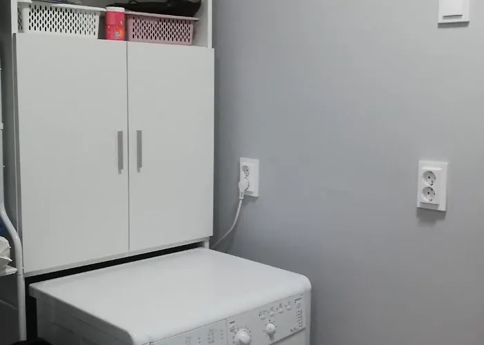 アパート Voyagehome 2 ティミショアラ