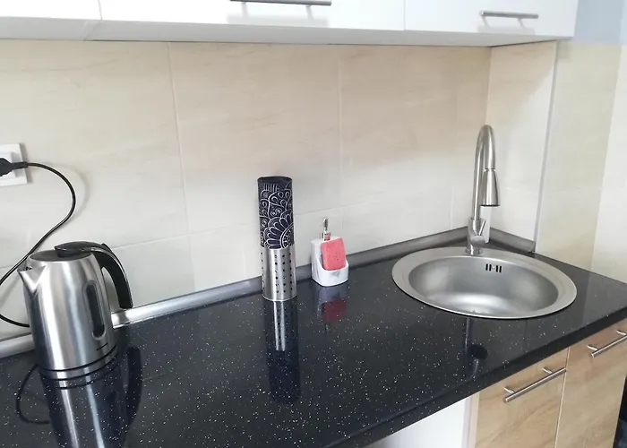 Voyagehome 2 * ティミショアラ