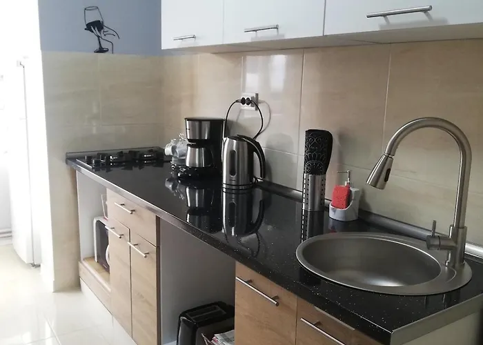 Apartman Voyagehome 2 Temesvár